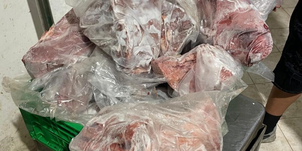 Palermo, sequestrati oltre 600 chili di pesce avariato