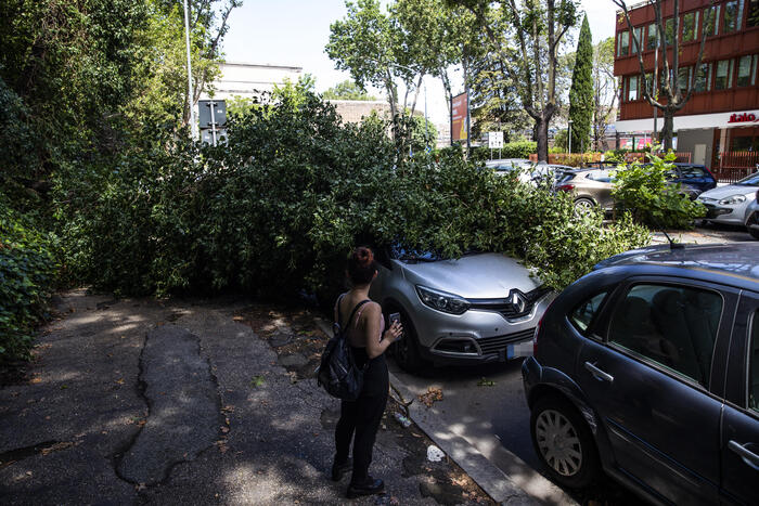 Periti auto, in 3 anni raddoppiato costo polizze per danni meteo