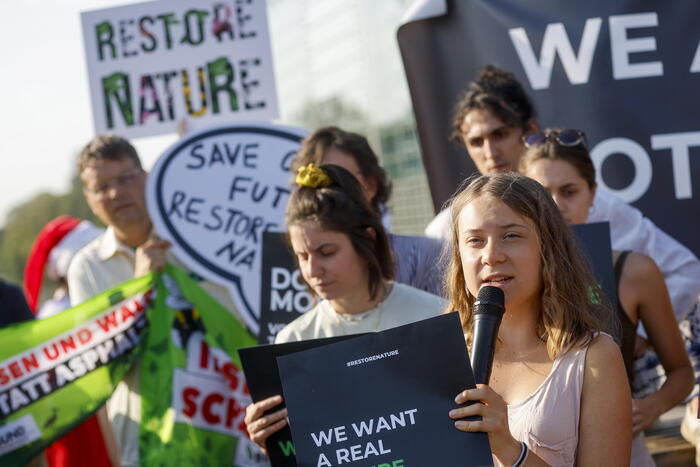 Legge sulla natura, la presidenza Ue cerca l'ok dopo le europee