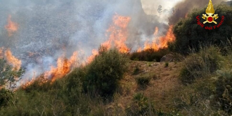 Incendiati ettari di macchia mediterranea nel Palermitano