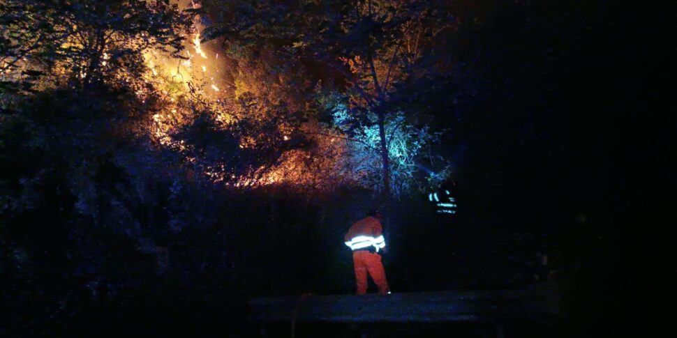 Due incendi nel Palermitano, danni alla vegetazione: interventi di forestali e vigili del fuoco