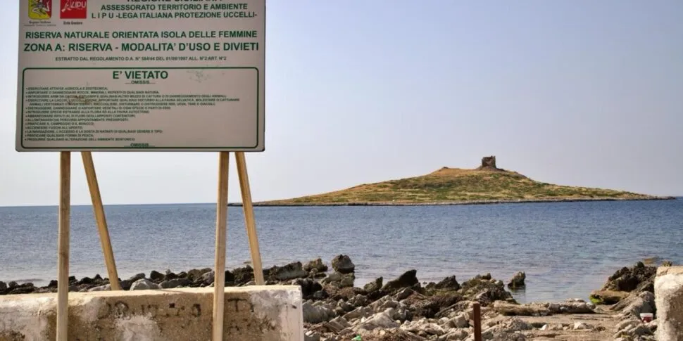 L'isolotto e la festa non autorizzata: ecco la storia dell'Isola delle Femmine, protegge gabbiani e molti altri uccelli