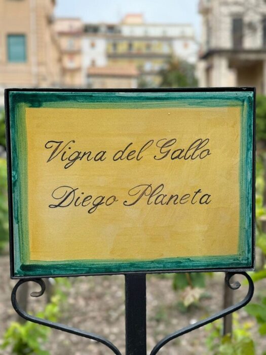 Nell'Orto botanico di Palermo vigna intitolata a Diego Planeta