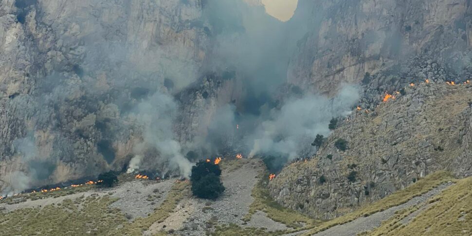 Palermo, preso l'incendiario di Capo Gallo: causò la devastazione di 600 ettari della riserva