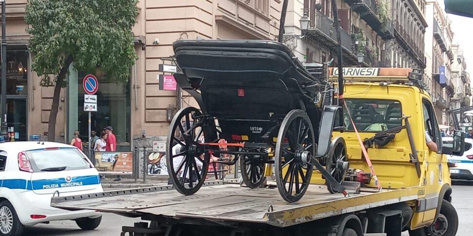 Palermo, in giro con la carrozza sotto sequestro: la polizia municipale gliela confisca