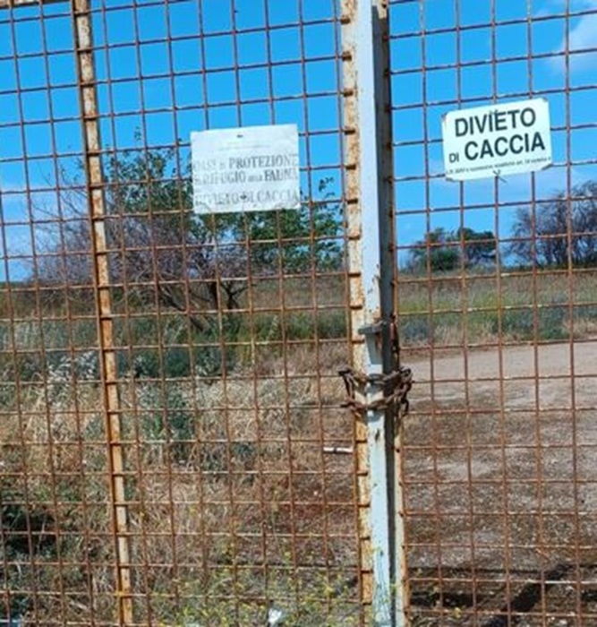 Bracconieri nel parco Libero Grassi a Palermo, denunciati