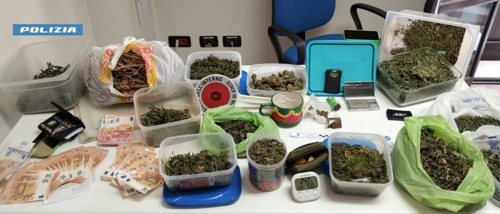 Piantagione di marijuana trovata nel Palermitano, un arresto