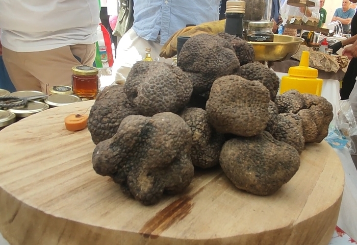 Festa del tartufo, la Sicilia scopre l'"oro nero"