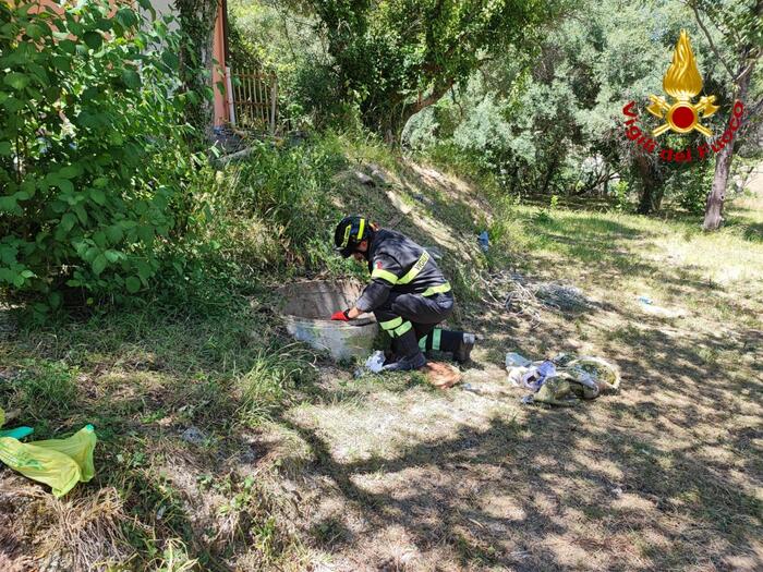 Donna e bimbo di 10 anni cadono in pozzo, piccolo è morto