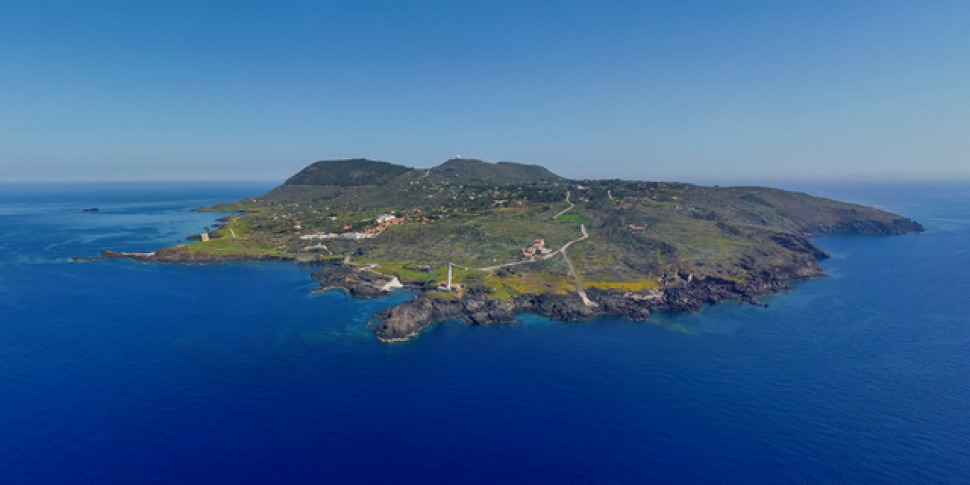 Il grido di allarme degli agricoltori di Ustica: «Danni gravissimi a causa della fauna selvatica»