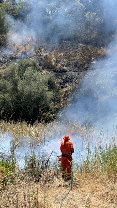 Incendi in diverse zone di Menfi, lambite abitazioni