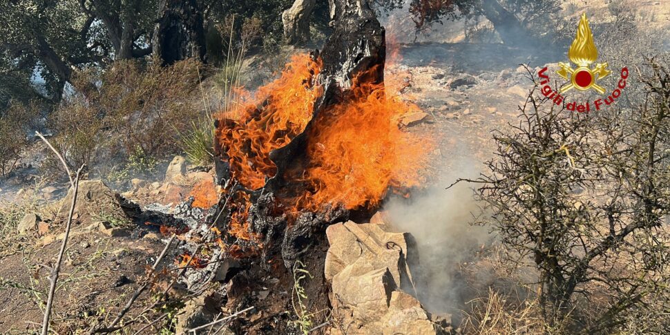 La Sicilia continua a bruciare, nell'Ennese i roghi più vasti