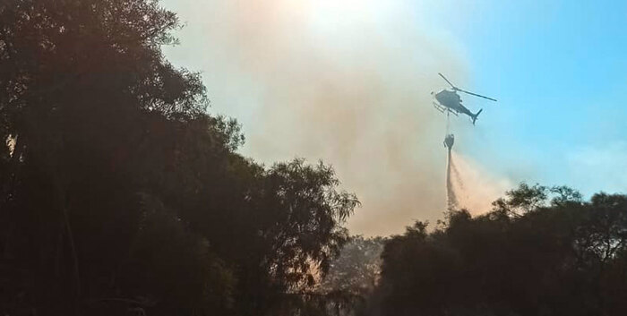 Incendio nel Trapanese, bruciano alberi, arbusti e rifiuti