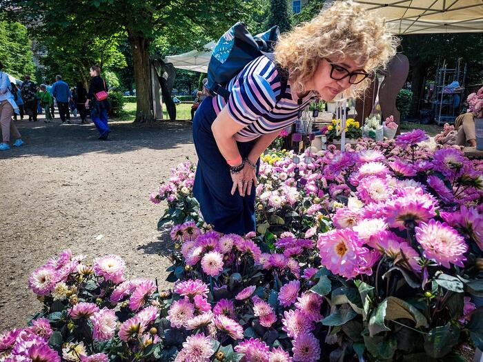 Lente dell'Antitrust su Interflora: "I fiori non sono quelli scelti"