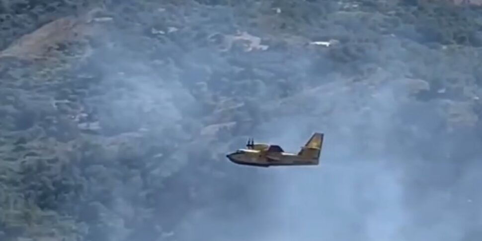 Ventuno incendi in Sicilia in una sola giornata: Canadair in azione a Isnello, nelle Madonie