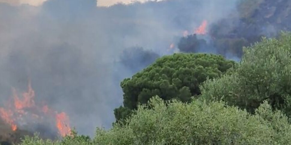 Incendio nei boschi di Calatafimi, colpita la zona di Monte Pantano: canadair in azione