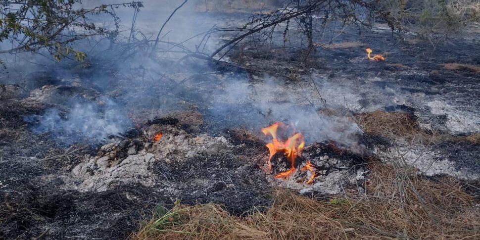 Incendio a Corleone, minacciato un allevamento: squadre al lavoro per proteggere gli animali e le stalle