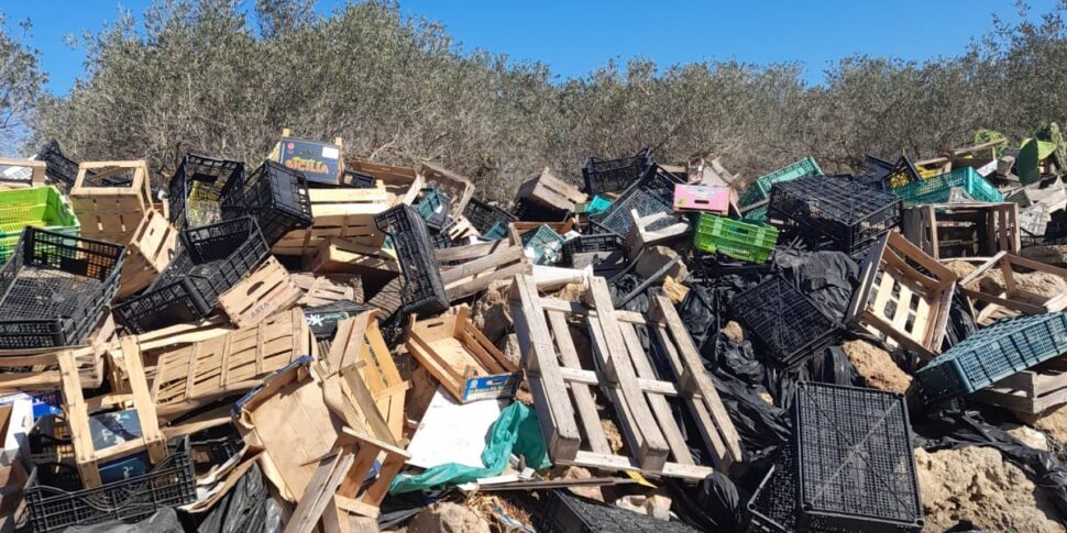 Marsala, sequestrato un terreno agricolo con rifiuti ammassati: stavano per essere bruciati