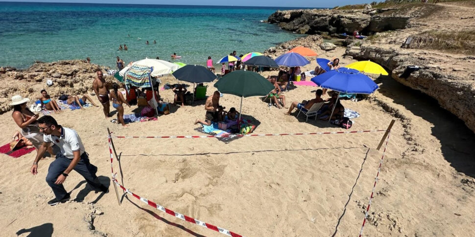 Nuovo nido di tartaruga marina a Torre Pozzillo di Cinisi