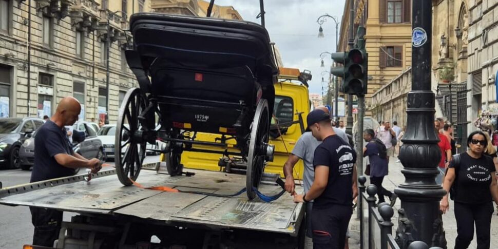 Palermo, il sequestro di altre due carrozze: Ferrandelli elogia i vigili e attacca chi «con richieste roboanti fa fare buchi nell’acqua»