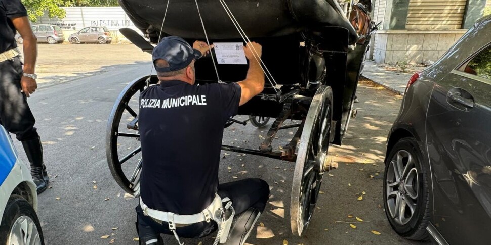 Palermo, sequestrata un'altra carrozza abusiva: da giugno è la settima