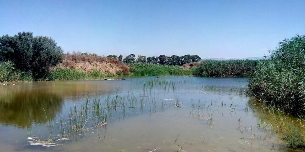 Sciacca, il fiume Carboj salva la produzione di angurie dalla siccità