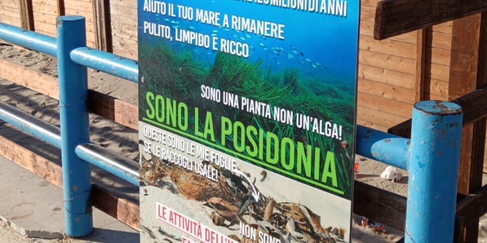 Vandali in azione contro il pannello illustrativo sulla Posidonia a Capaci, il sindaco: «Delusione e amarezza»