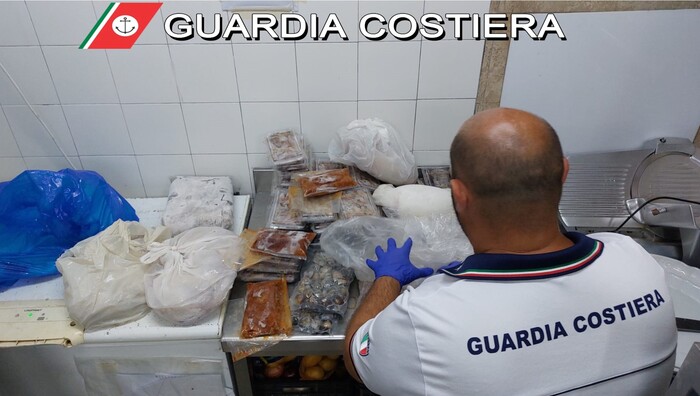 Capitaneria sequestra oltre 7 mila kg di pesce non tracciato