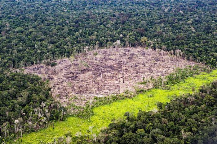 Il Brasile si lancia come leader globale dell'idrogeno verde