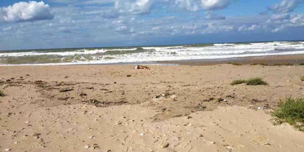 Ferragosto, sindaco di Carini vieta i bivacchi in spiaggia: inibiti bottiglie di vetro e superalcolici