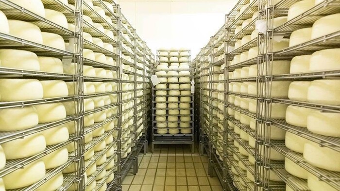 Dal grana al pecorino, la guerra cinese ai formaggi fa paura