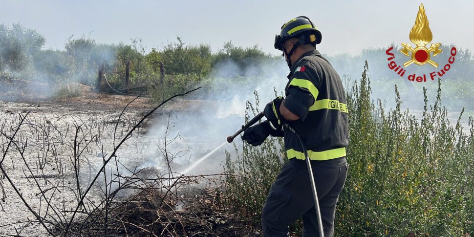 Incendi a Carini, Altavilla Milicia e Campofelice di Roccella: minacciate le abitazioni