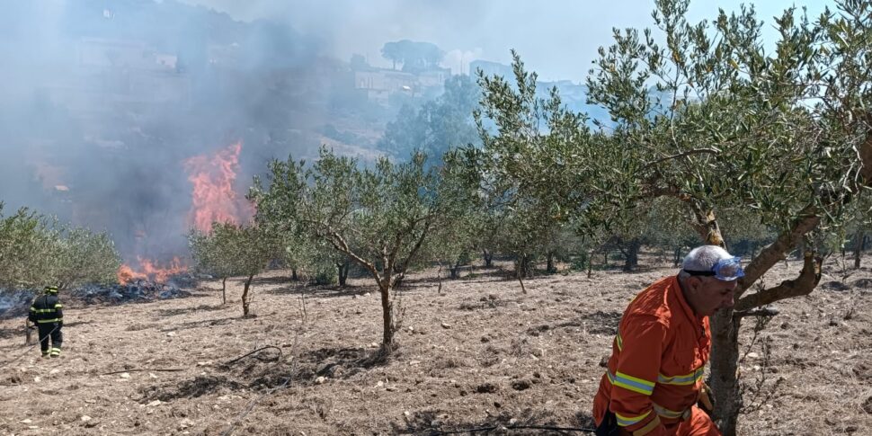 Erice, un incendio divora alberi e vegetazione a Ballata