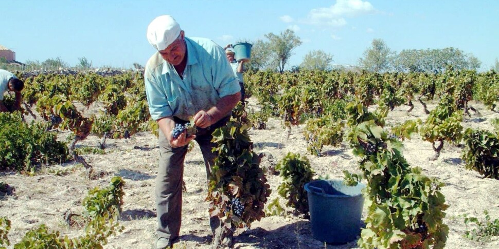 La guerra dell'acqua, Sciacca contro Trapani: «L'hanno dirottata per irrigare i loro campi»