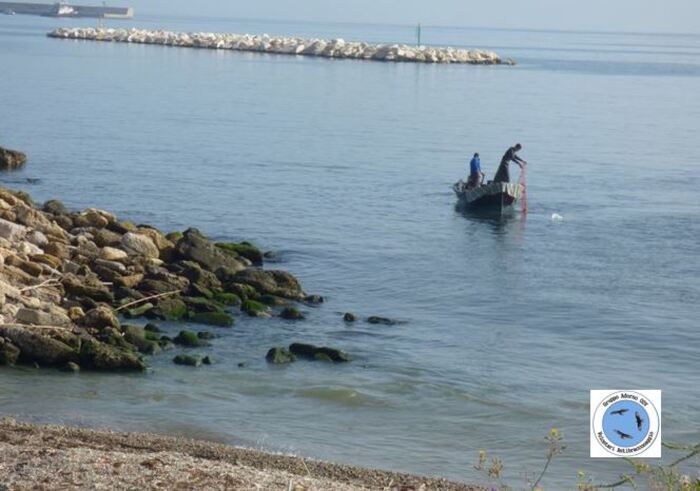 Pesca vicino scarichi fogne Palermo, Adorno denuncia