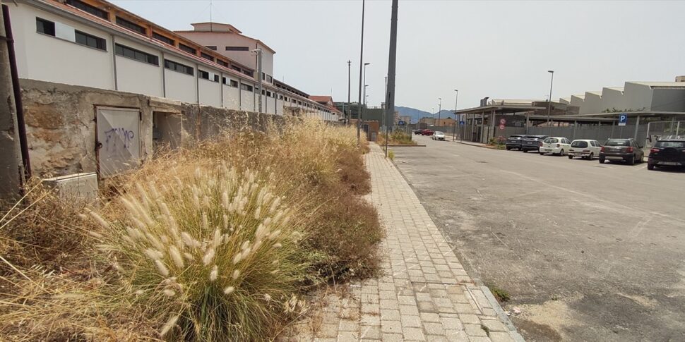 Palermo, ripartono le operazioni di estirpazione delle erbacce: il via dalle borgate marinare