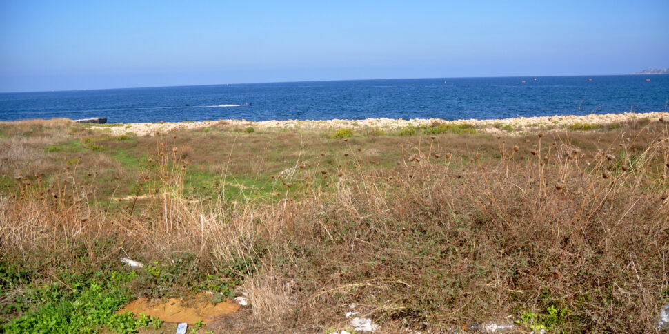 Palermo, il Parco Libero Grassi abbandonato al degrado: firmato il decreto per la bonifica