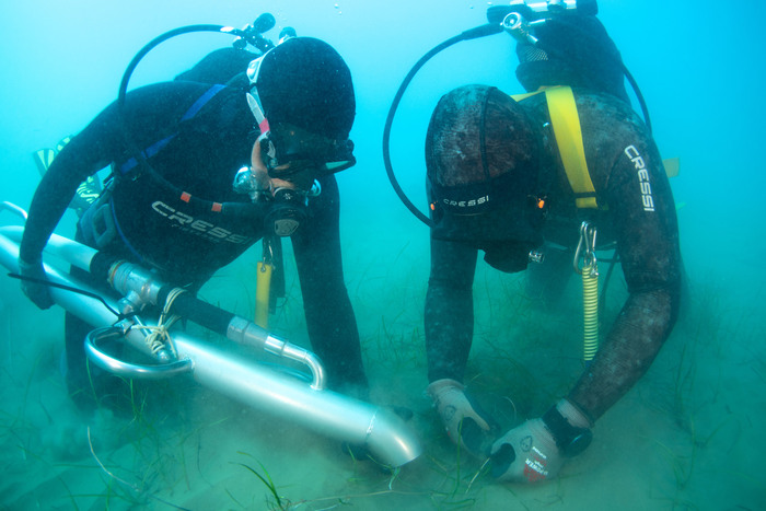 Terna trapianta 20 mila piante acquatiche in fondale Palermo