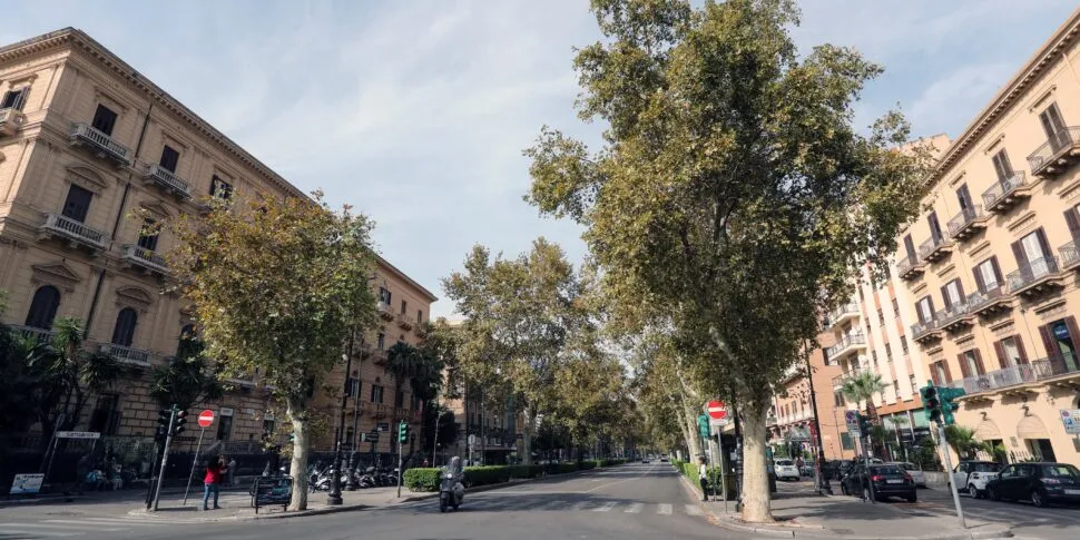 Palermo, rissa tra un tassista e un automobilista per una precedenza: un ferito