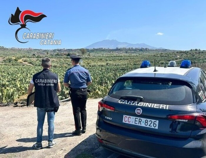 Sei lavoratori in nero, denunciati i titolari di due cooperative