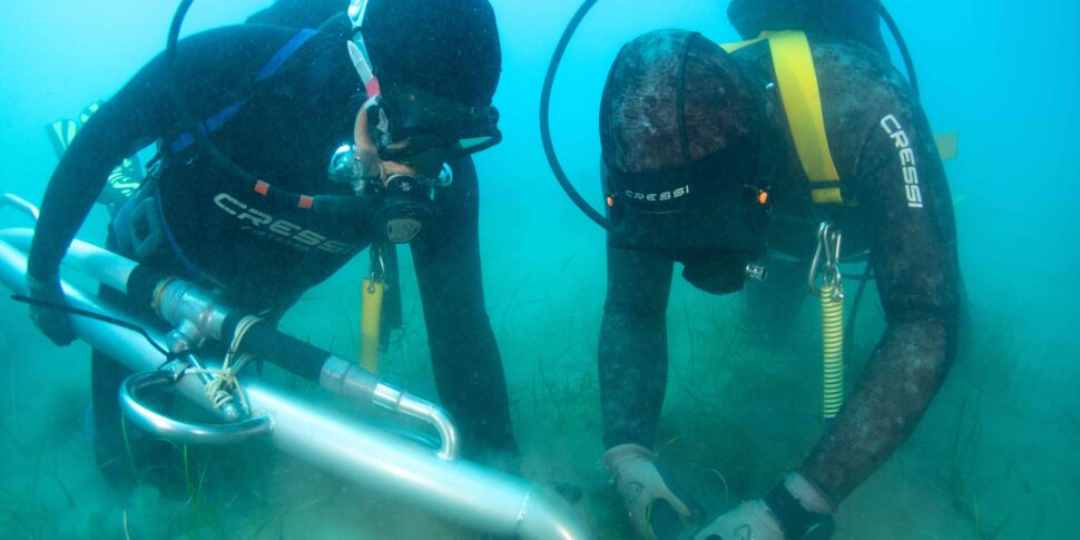 Termini Imerese, Terna avvia il trapianto di piante acquatiche