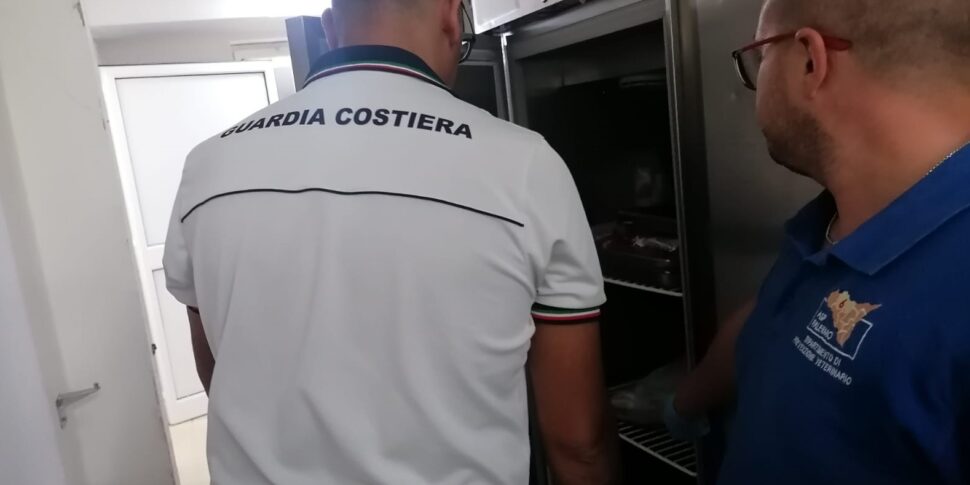 Controlli nei ristoranti di piazza Marina e a Sferracavallo, sequestrati 1.300 chili di pesce. Il video