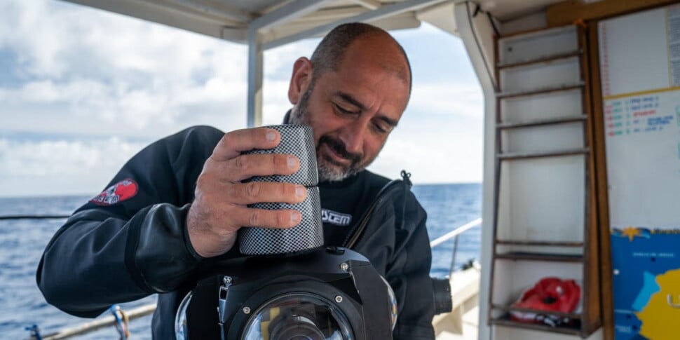 Un Mediterraneo di Biodiversità: pronto il docufilm prodotto da Arpa Sicilia e diretto da Riccardo Cingillo