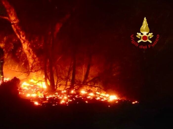 Incendio sulla Timpa di Acireale spento stamane da pompieri