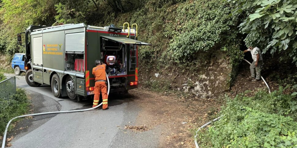 Forestali in Sicilia: in 3 anni la metà in pensione, ci sarà un nuovo maxiconcorso