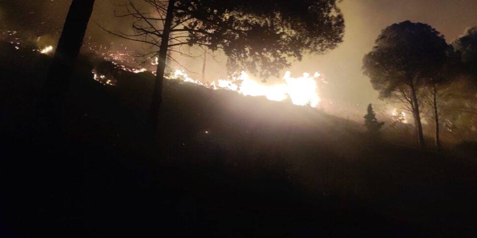 Vasto incendio a bordo strada fra Erice e Valderice - VIDEO