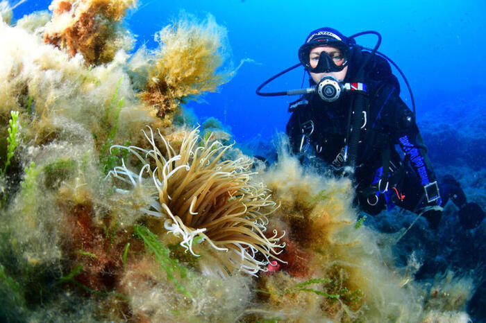 Un docufilm di Arpa Sicilia sul Mediterraneo al G7 Agricoltura