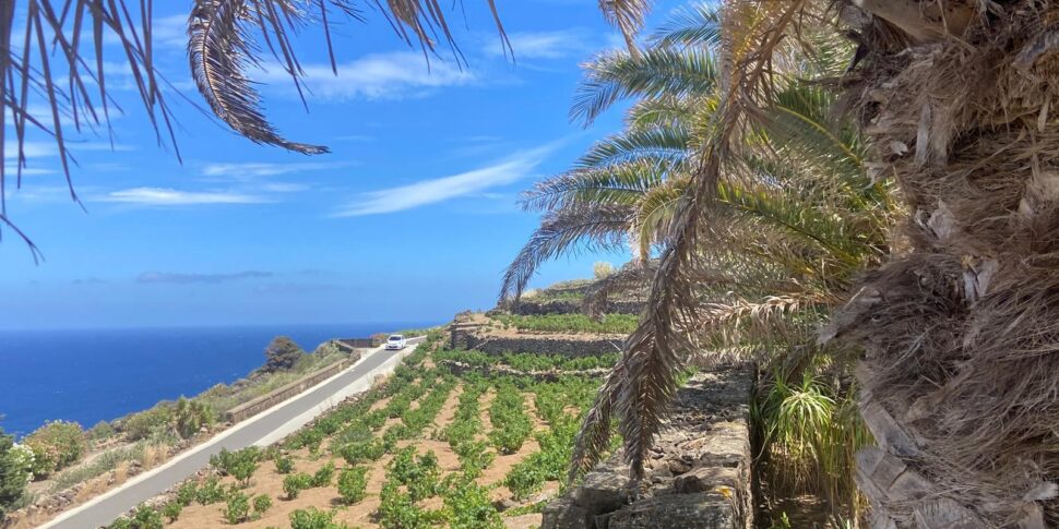 Il Distretto turistico della Sicilia occidentale a Pantelleria, l’isola pronta a partecipare alle nuove strategie