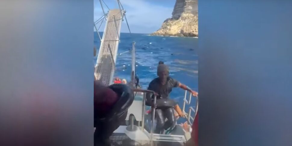 Lampedusa, durante una gita in barca un gruppo di turisti salva 50 migranti