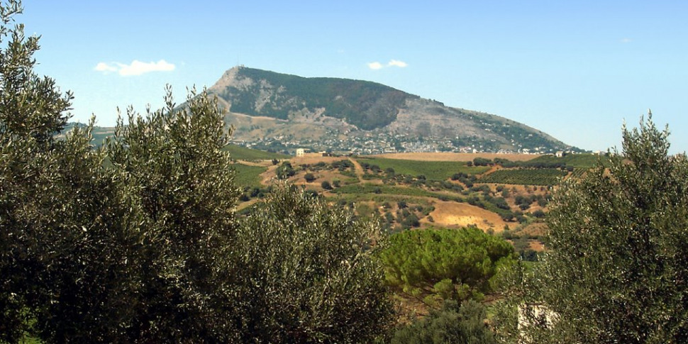 Turni di guardia dei volontari contro gli incendiari: un’estate senza roghi sul monte Bonifato